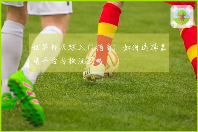 世界杯买球入门指南：如何选择靠谱平台与投注策略