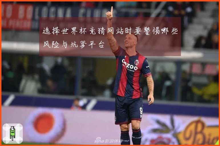 选择世界杯竞猜网站时要警惕哪些风险与坑爹平台