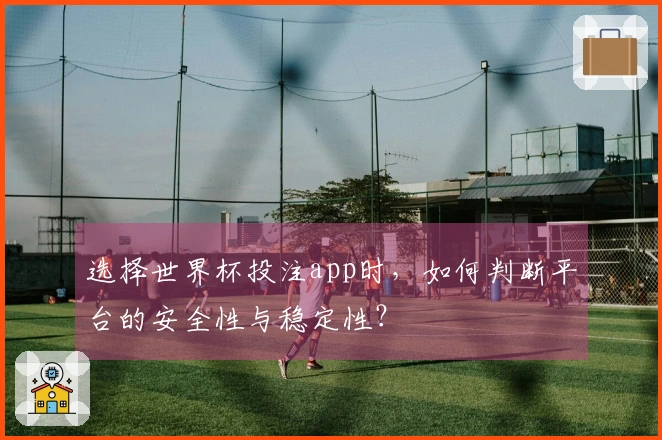 选择世界杯投注app时，如何判断平台的安全性与稳定性？