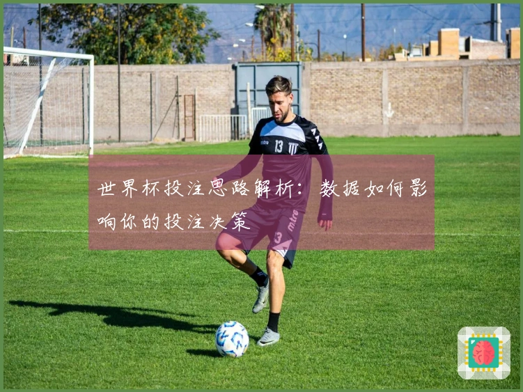 世界杯投注思路解析：数据如何影响你的投注决策