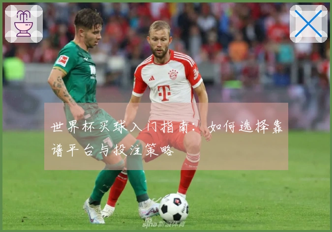 世界杯买球入门指南：如何选择靠谱平台与投注策略