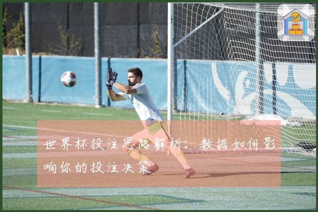 世界杯投注思路解析：数据如何影响你的投注决策