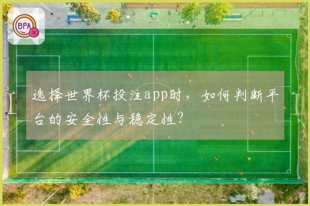 选择世界杯投注app时，如何判断平台的安全性与稳定性？