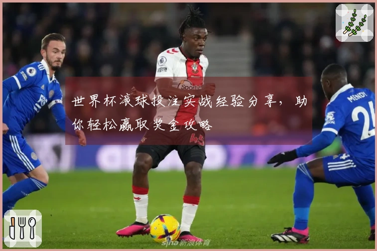 世界杯滚球投注实战经验分享，助你轻松赢取奖金攻略