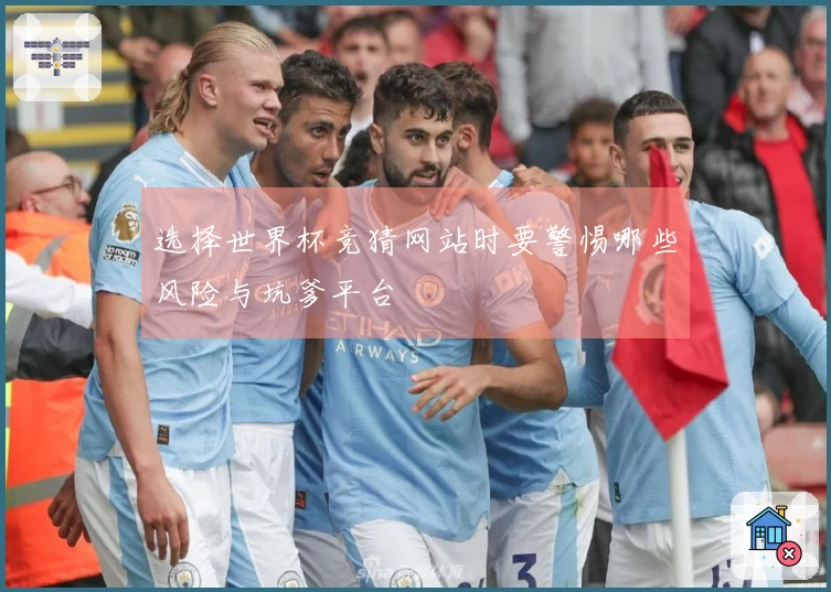 选择世界杯竞猜网站时要警惕哪些风险与坑爹平台